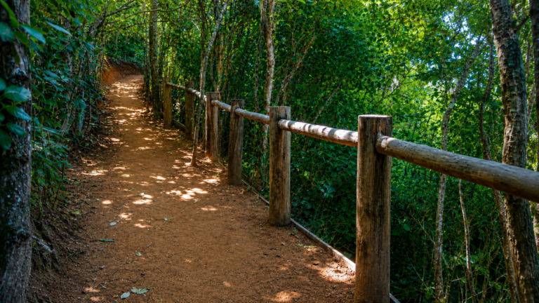 Foto: Prefeitura de Búzios